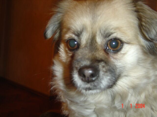 Picture07.jpg