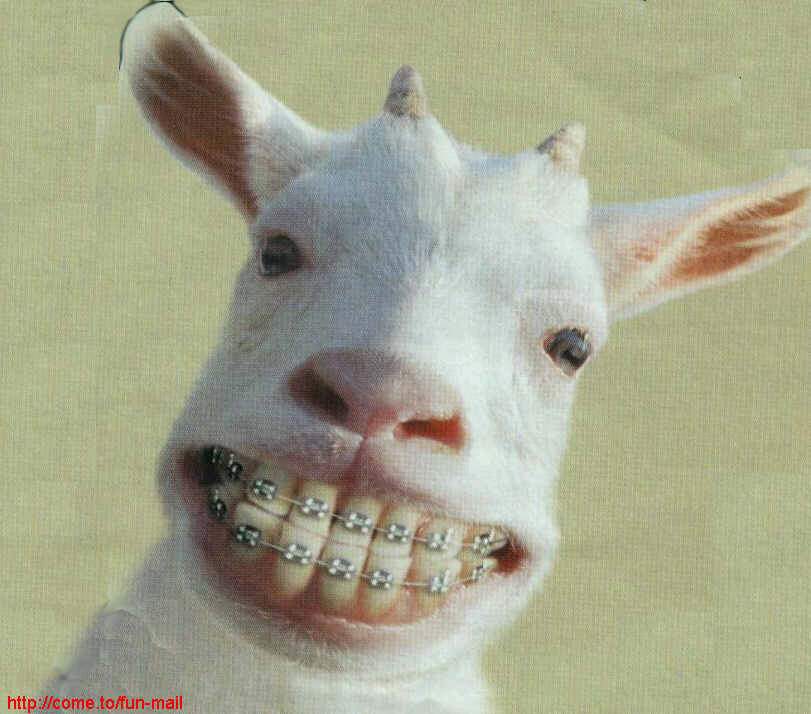 smile.JPG