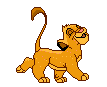 1062.gif