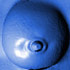 av_1533.jpg