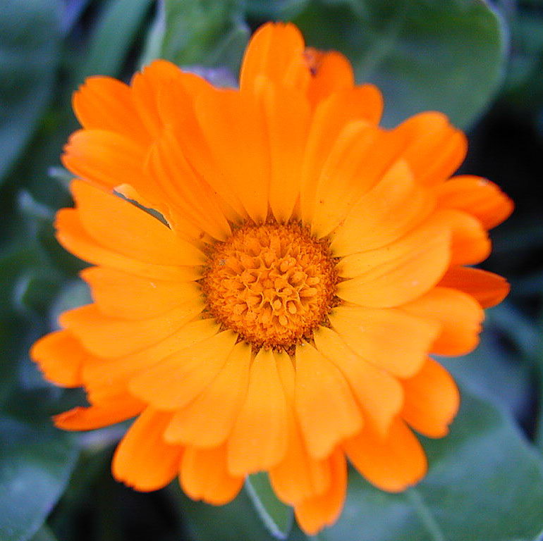 13674_2.jpg