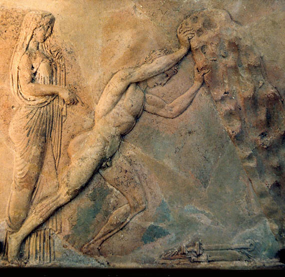 aegeus1_8303.jpg