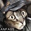 000anfass_animat.gif