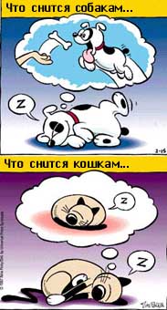 Мемы, которые заставили вас улыбнуться Форум Страница 22