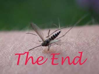 7_dead_20mosquito.jpg