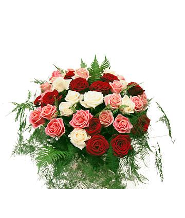 ROSE.jpg