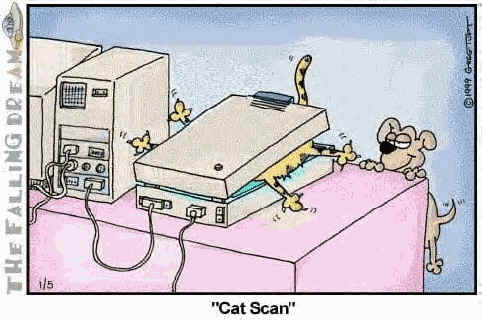 catscan.jpg
