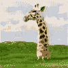 ops.gif