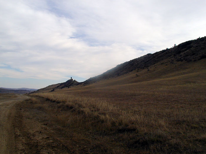 p2_P1010004.jpg
