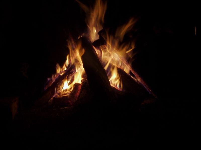 PB210270.jpg
