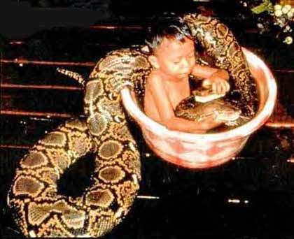 boy_and_his_snake.jpg