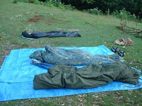 DSCF0065.JPG