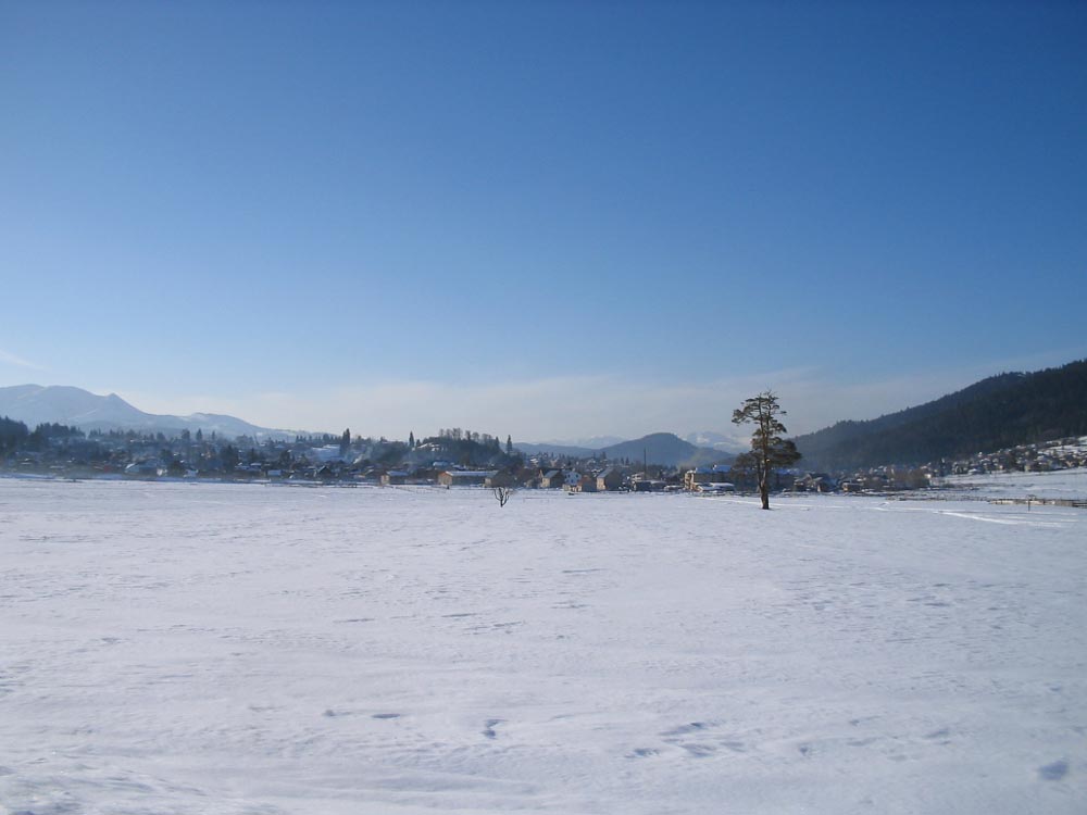 Picture_051.jpg
