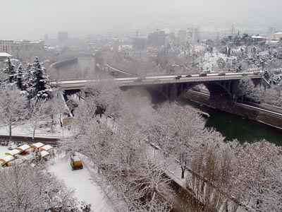 tovli.jpg