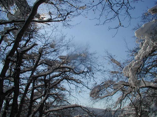P1010203_v1.jpg