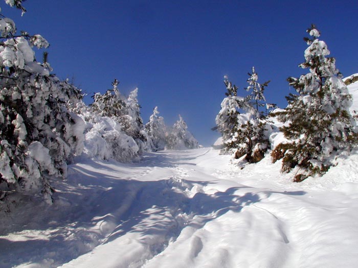 P1010186_v1.jpg