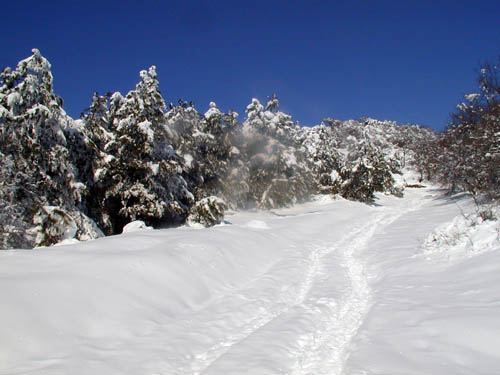 P1010179_v1.jpg