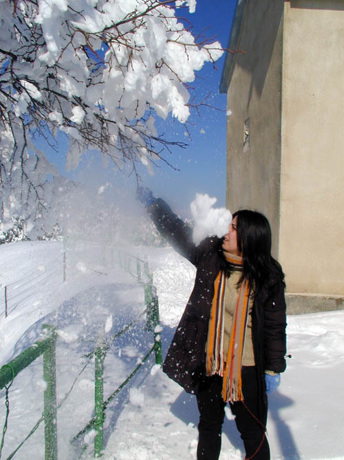P1010239_v1.jpg