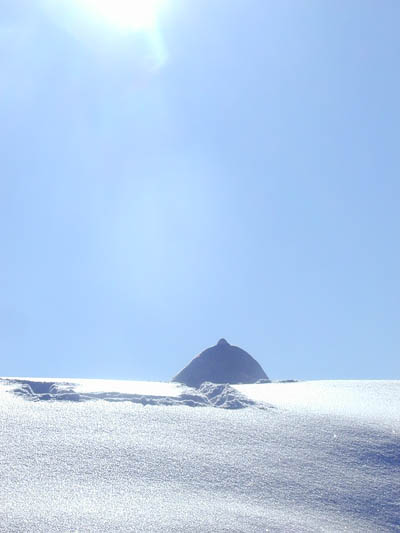 P1010291_v1.jpg