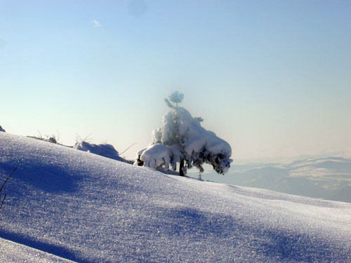P1010294_v1.jpg