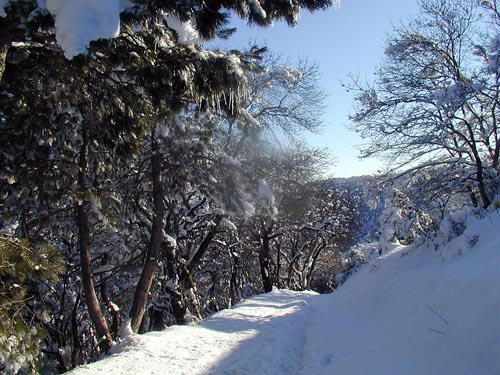 P1010307_v1.jpg
