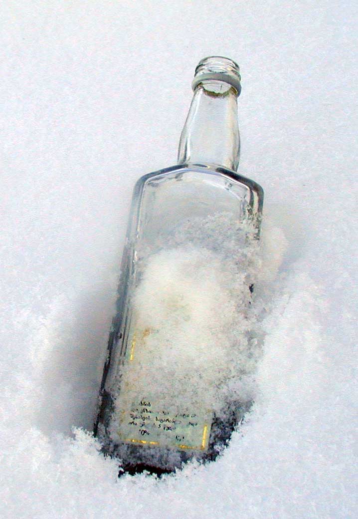 P1010257_v1.jpg