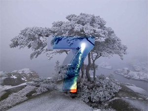 a1.jpg