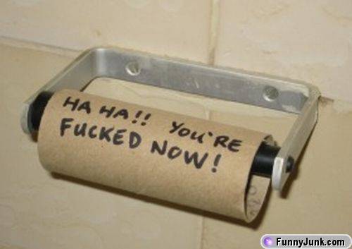 toiletpaper_copy1.jpg