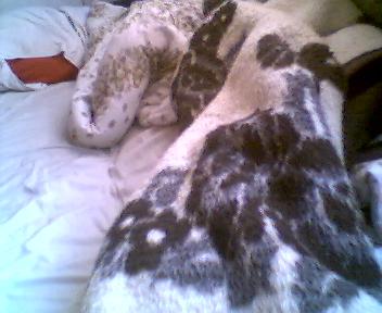 Picture_018.jpg