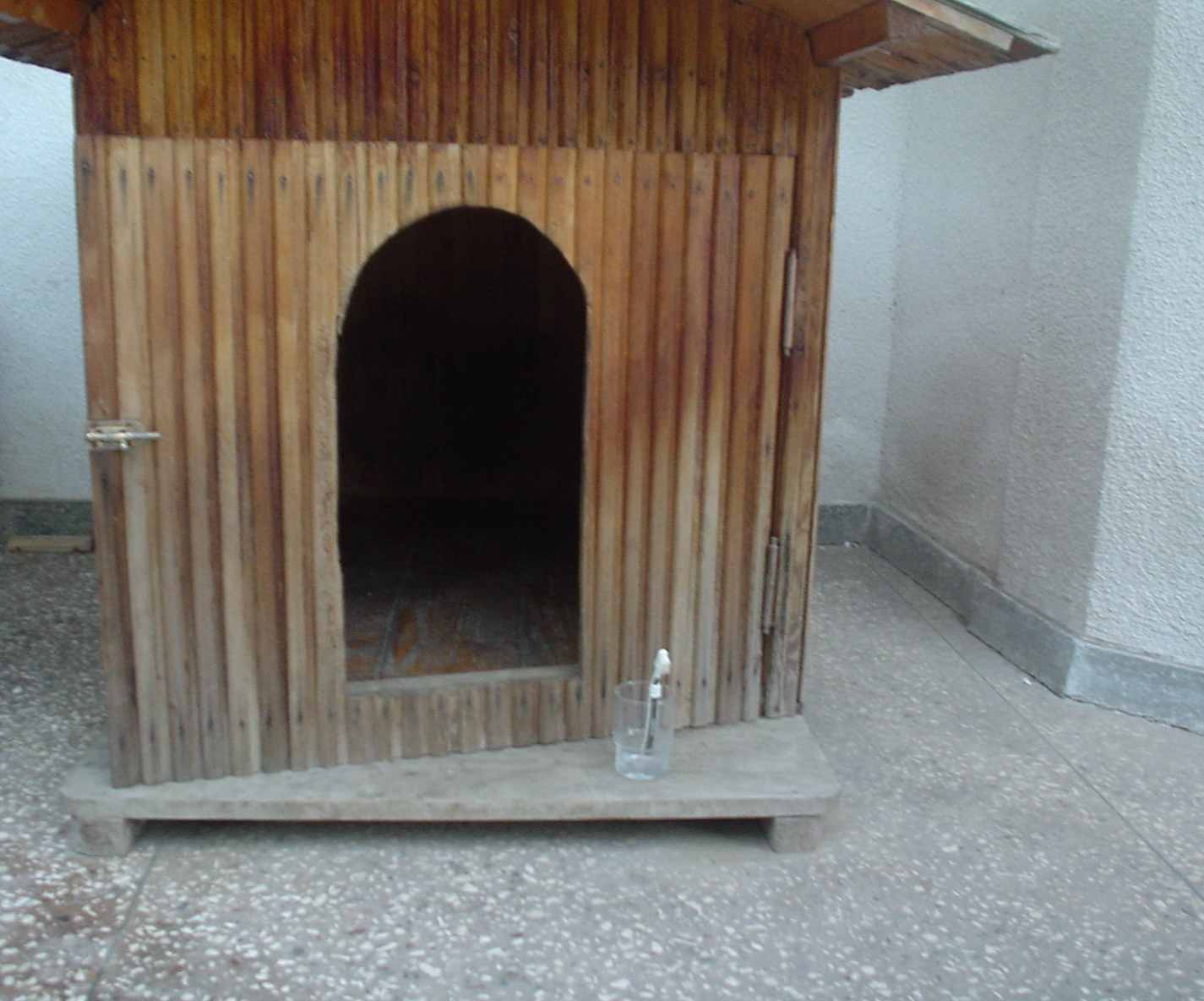 dom.jpg