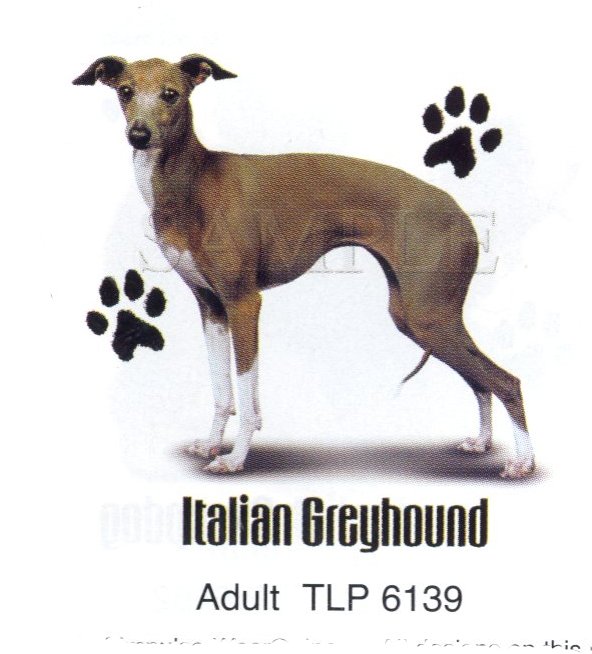 italieli_zaRli_2.jpg