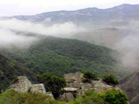 Pic._05_.jpg
