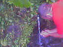Picture58.jpg