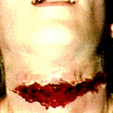 GoreFXSlashedThroat_1_.jpg
