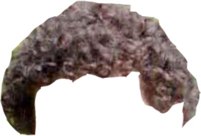xuchu.jpg