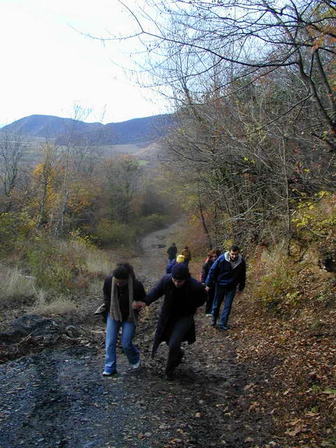P1010056_resize.JPG
