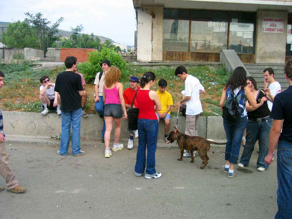 01.jpg