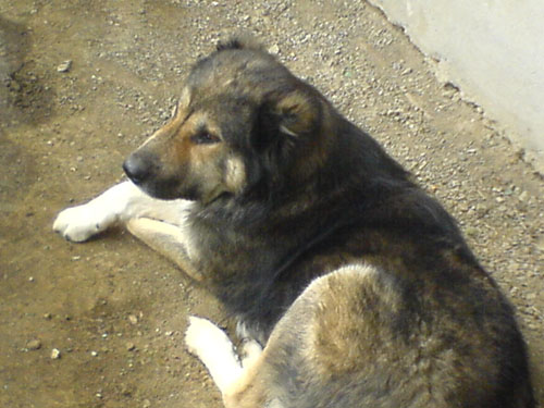 DSC00227.JPG