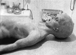 alien5.jpg