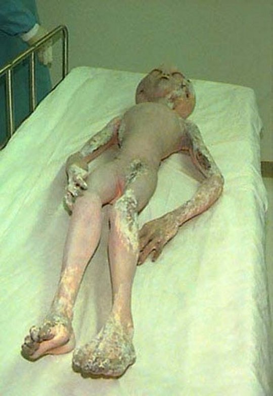 fake_alien__3.jpg fake_alien__3.jpg