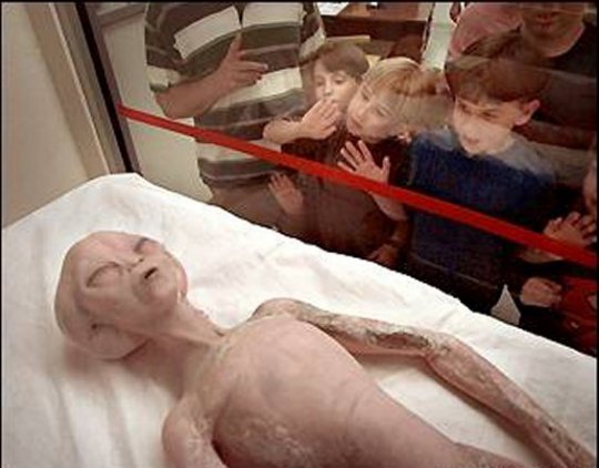 fake_alien__1.jpg