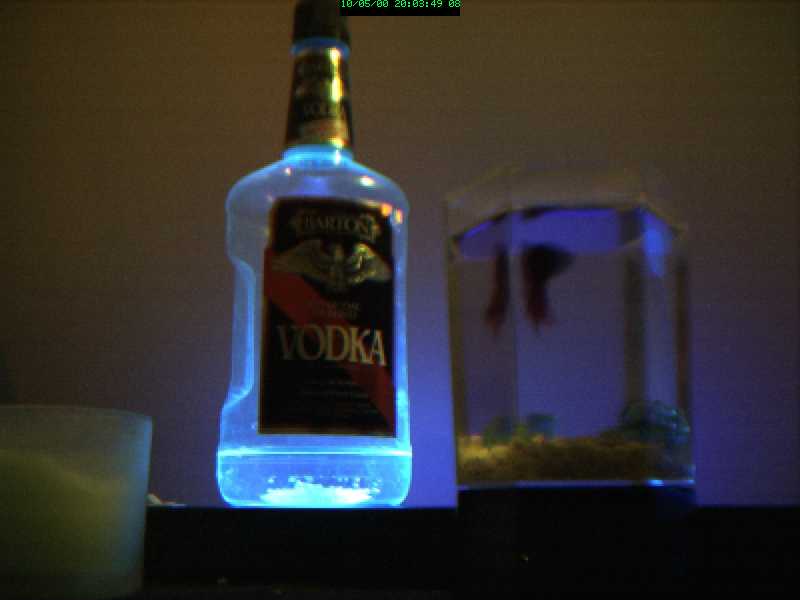 glowing_vodka_1_.jpg