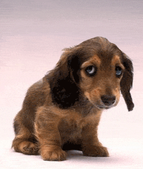 1a10.gif