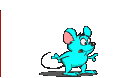 6.gif