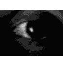 eye0024.gif
