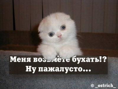 post_56_1128963333_thumb_1_.jpg