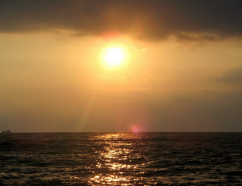 _0012_resize.jpg
