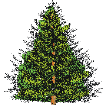 Image31.gif
