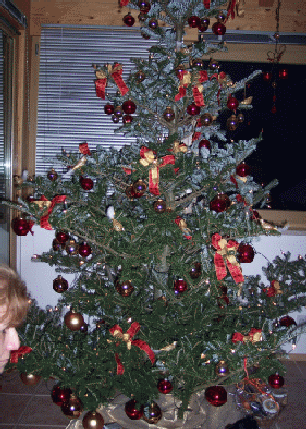 100_1317.gif