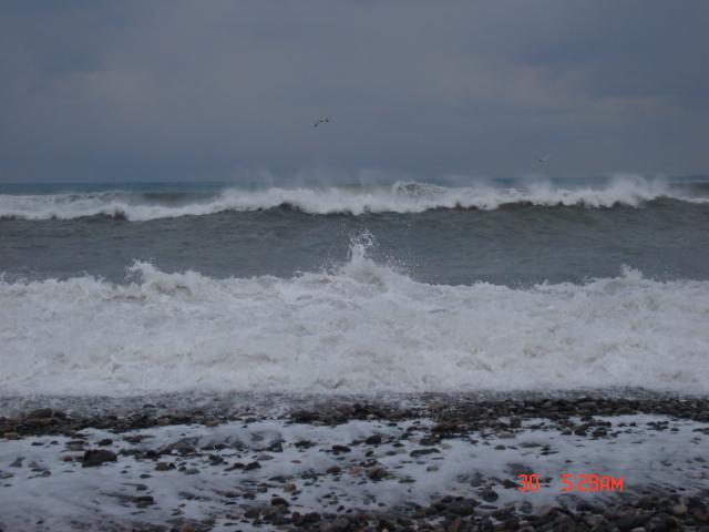 DSC_012.jpg